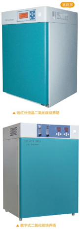 ������̼������