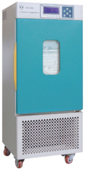 ���º�ʪ����